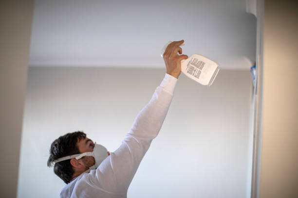 Best Affordable Mold Removal  in East Jordan, MI
