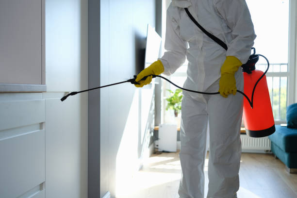 Best Commercial Mold Removal  in East Jordan, MI
